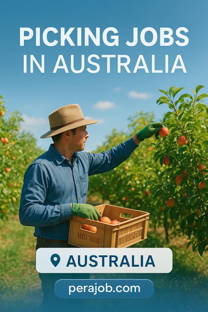 Fruit picking Jobs in Australia Fruit picking Jobs in Australia image