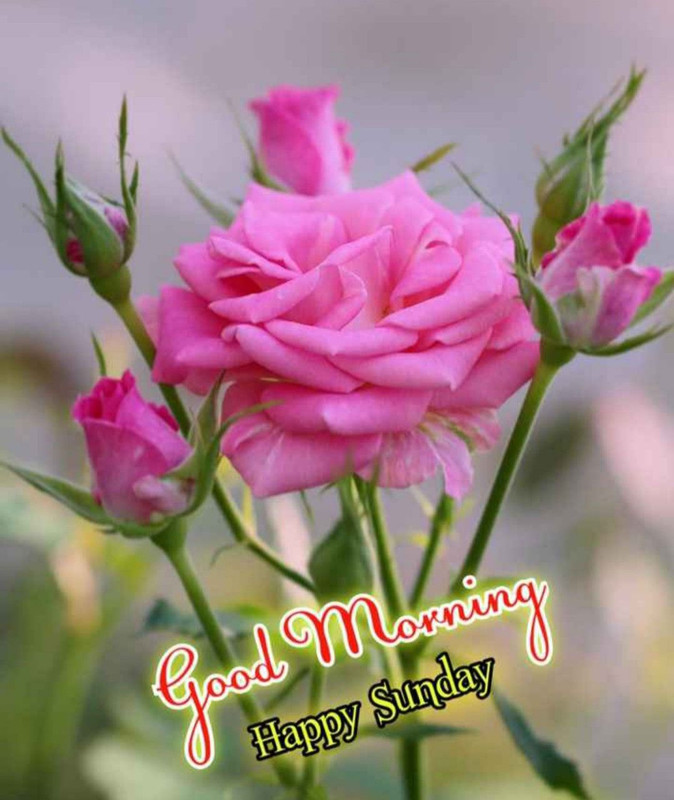 51ced3db0a8cb24f1b7a42cb67179157