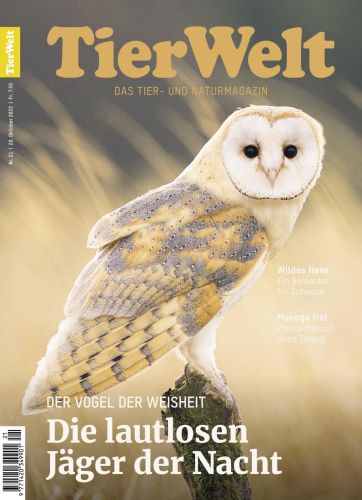 Cover: TierWelt Magazin No 21 2022
