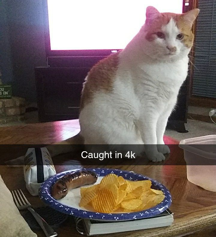 don't look at me