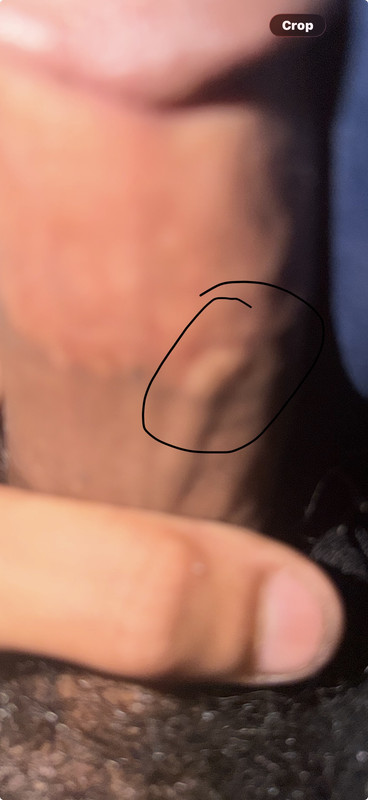 IMG 0487