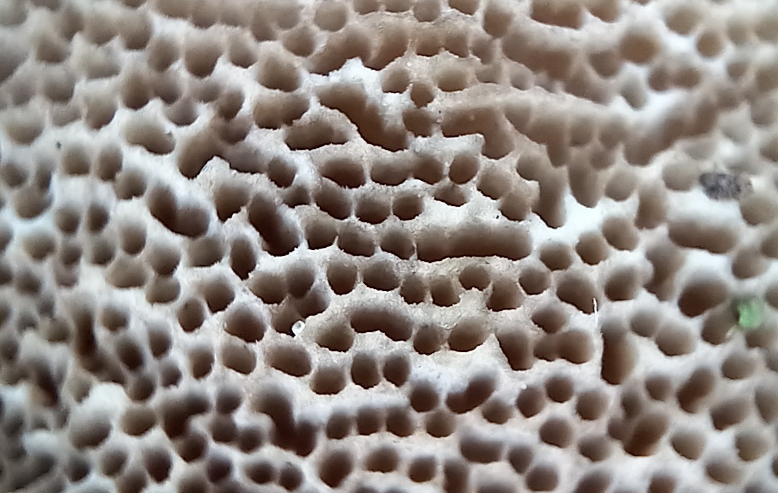 20250118-200845