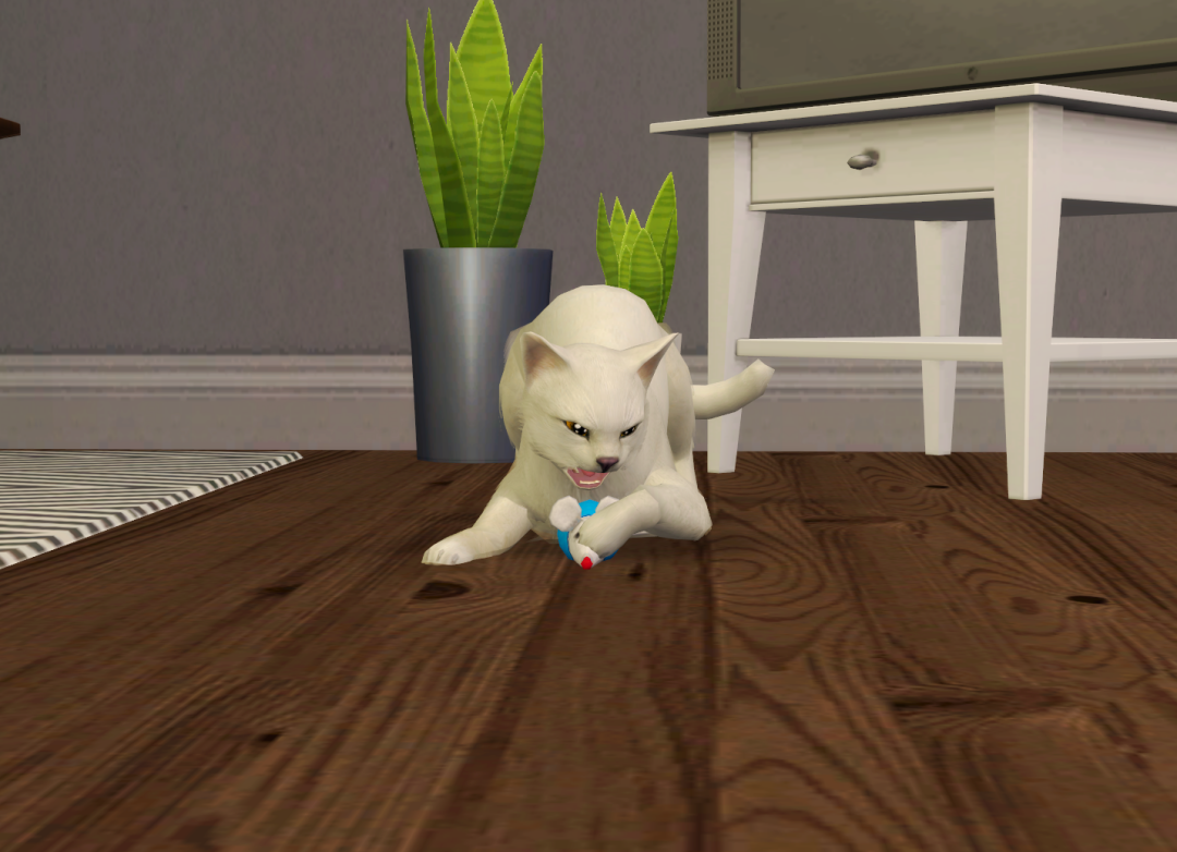 Sims2-EP9-RPC-2023-06-15-19-52-44-27