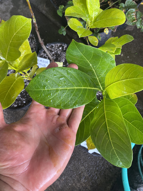 48EDAB3D-698E-47E0-9C03-EFD6D40FBD8C