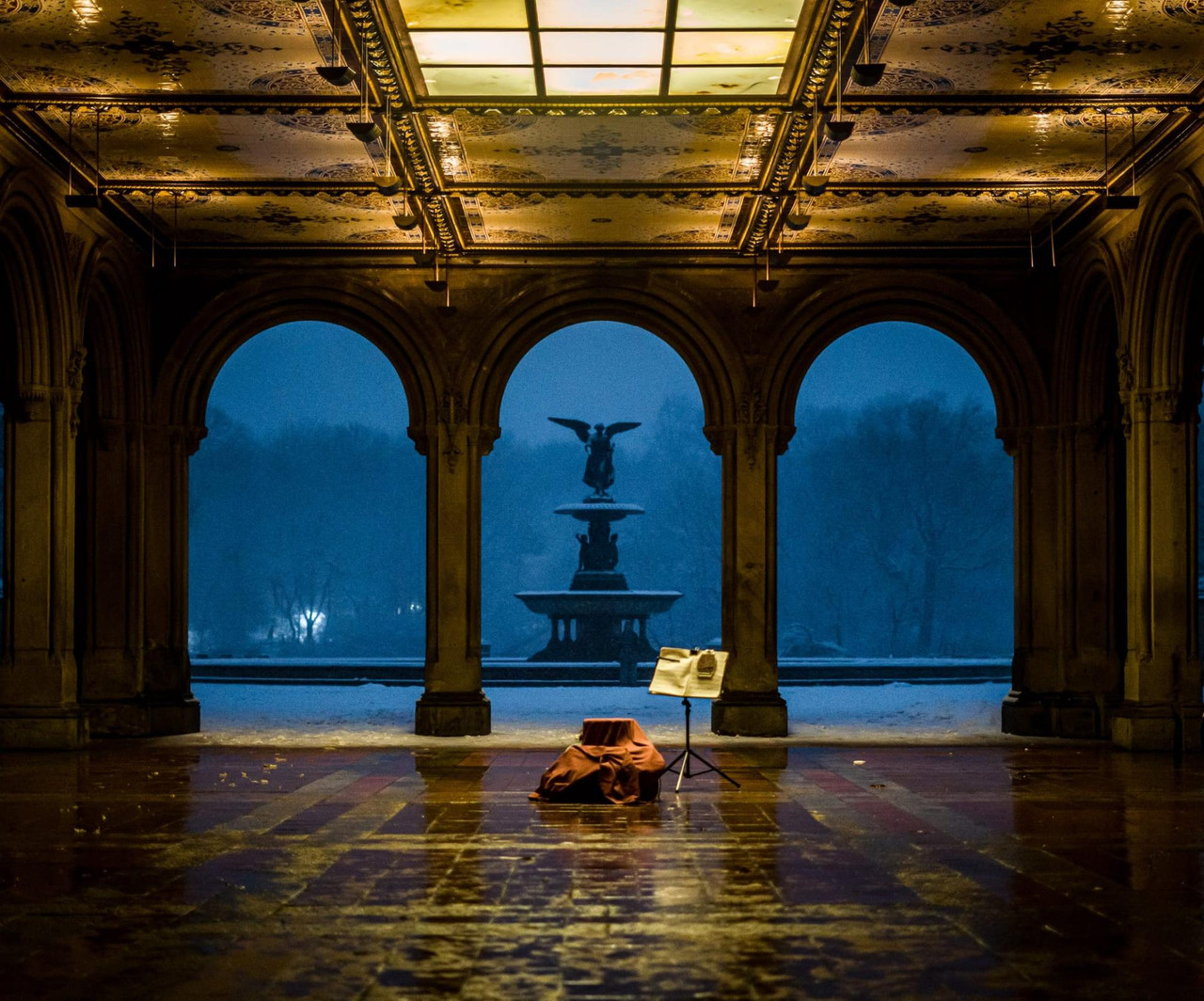 central park snow (8)