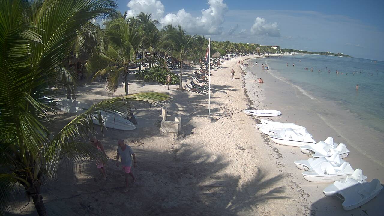 Algas en las playas de Riviera Maya (Sargazo) - Foro Riviera Maya y Caribe Mexicano