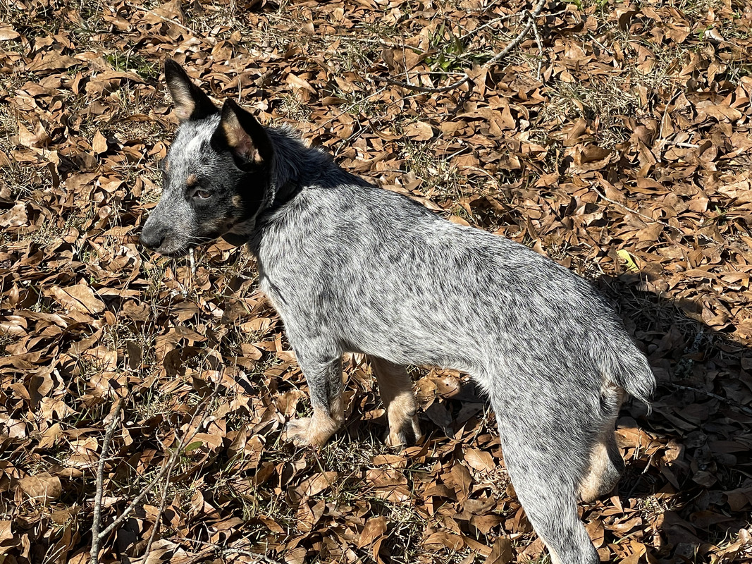 0898CB6F-0903-4676-A7D0-2C7CC64F22FC