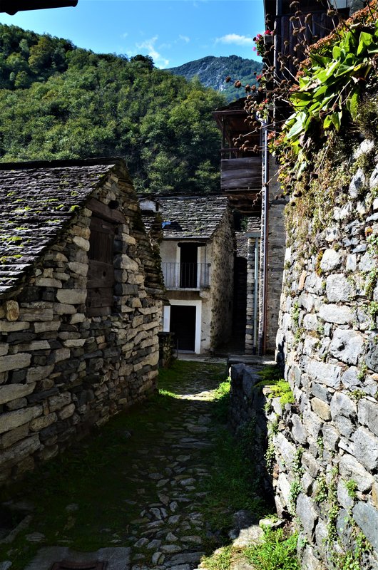 CORIPPO-8-9-2019 - Suiza y sus pueblos-2019 (45)