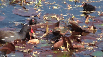 ���� ���� ������ �� ���� ������