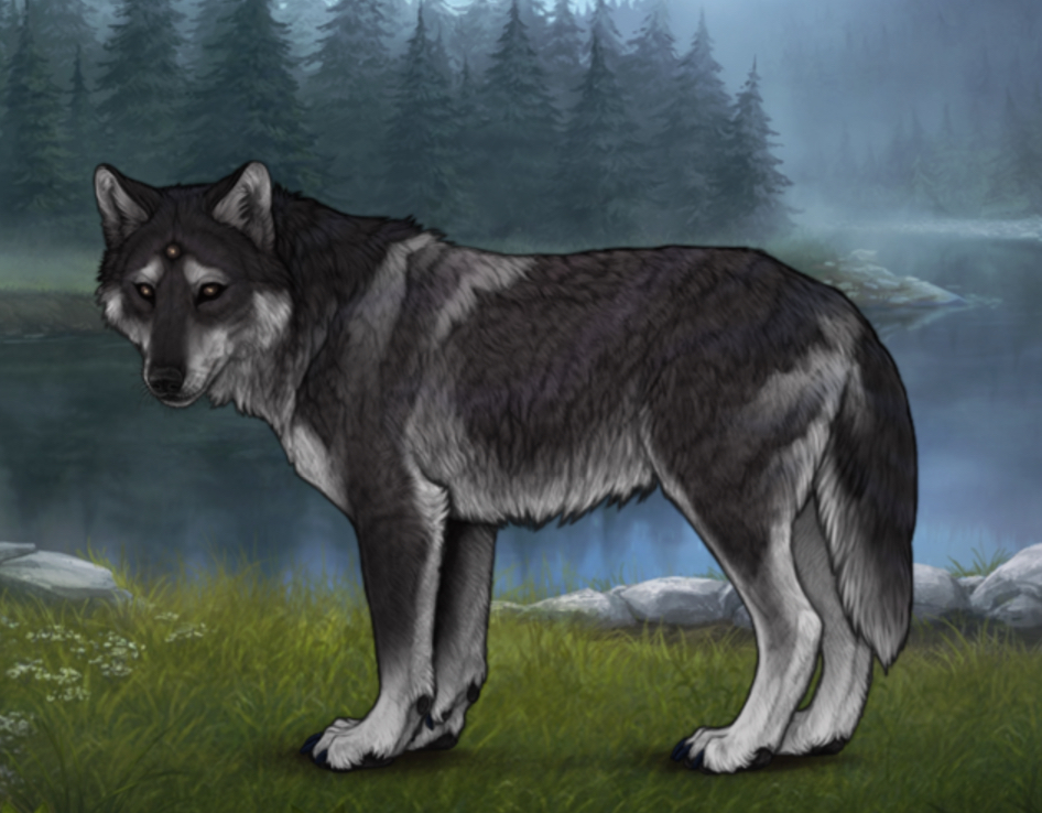 Chased Wolf Spotting - Revamped |:| Wolvden