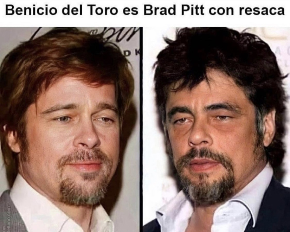 Benicio del toro brad pitt meme