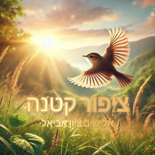 תמונה
