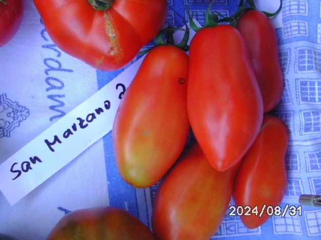 [Bild: BILD0389.jpg]
