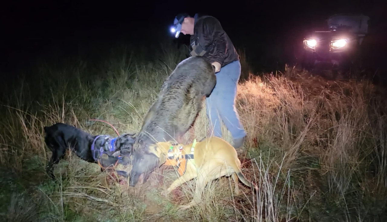 Messenger_creation_0E1D4367-7FF9-4EDE-A65B-863BB6D9B92C