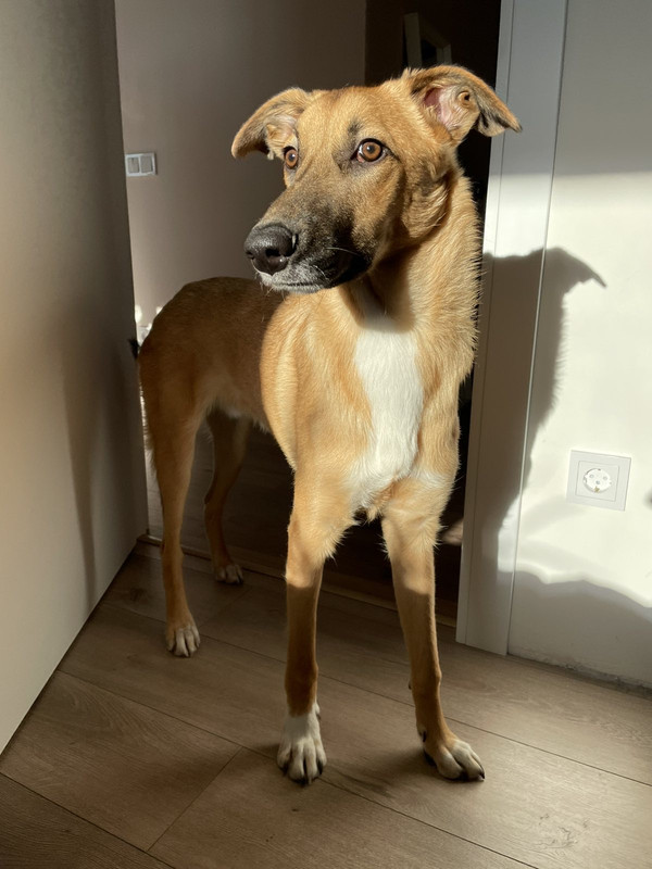 5E1013A3-D65C-4FF8-972C-487923569F75