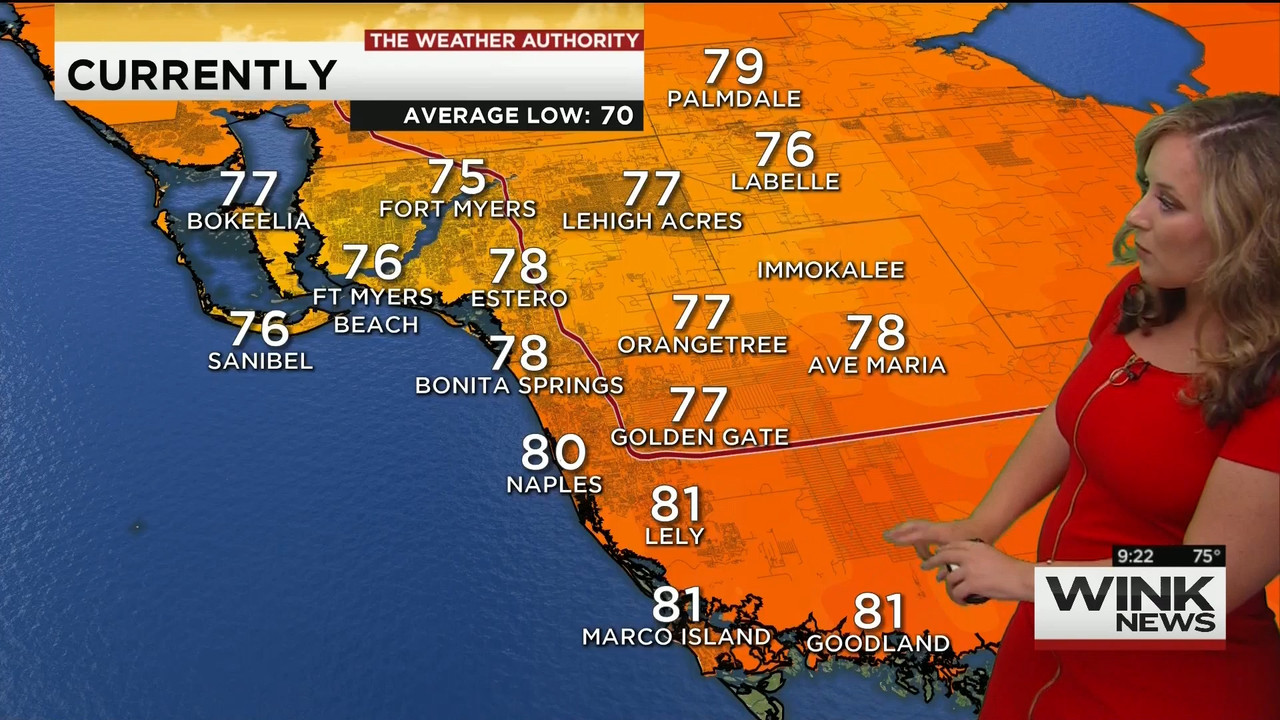 23 May - 14.00.00 - WINK News @ 9 00AM..ts_snapshot_00.26.55_[2020.05.23_17.13.19]