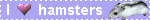 hamster