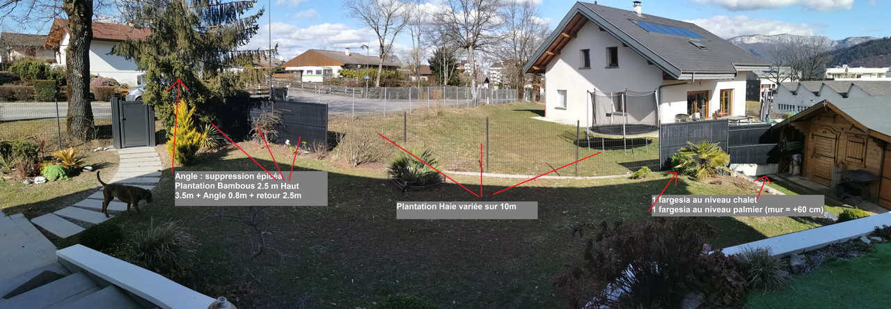 Haie devant voisins - porte entrée