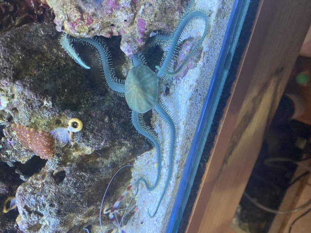 BB50DB4F-F087-4743-88C9-B596A337750E