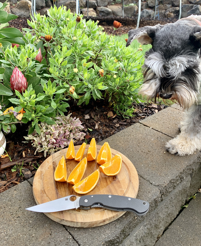 507BD9C5-43BD-4045-8A2D-EE3086A9410C