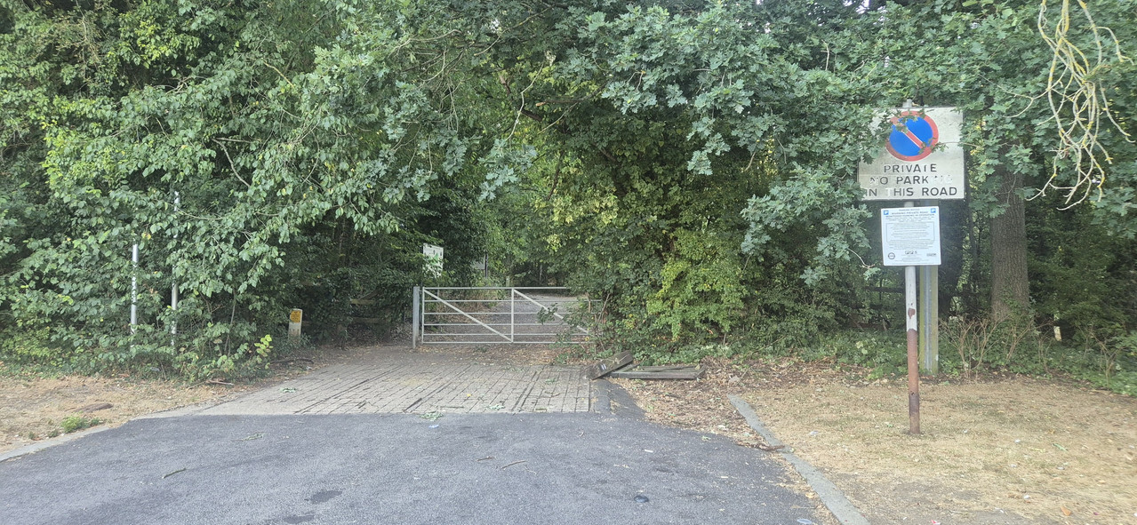 Woodland at Stanmore Country Park, Dennis Lane