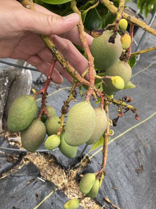 9763CD78-CBEF-41F4-9F4C-7CD6AA2C08F3