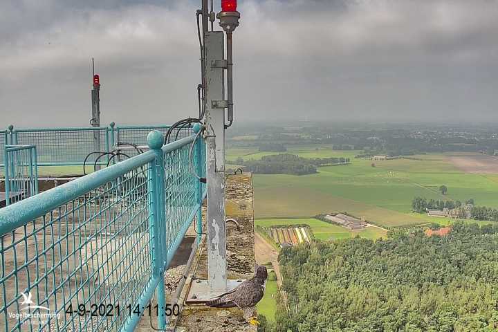 campics vanaf 1 juli © VWGGemert en bonusjes van ter plekke - Pagina 23 7