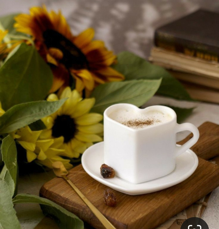 Screenshot_20240203_202335_Pinterest