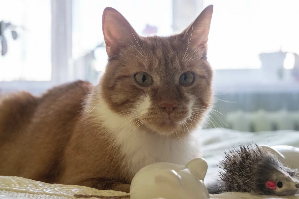 9460768E-318A-46B1-8F12-FF829276B399