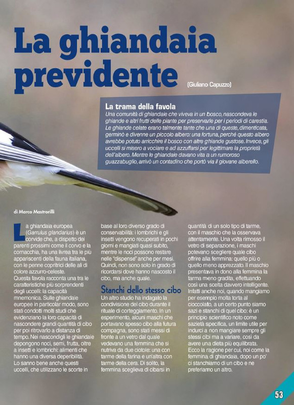 Foc Wil - Lug 2024 (6)