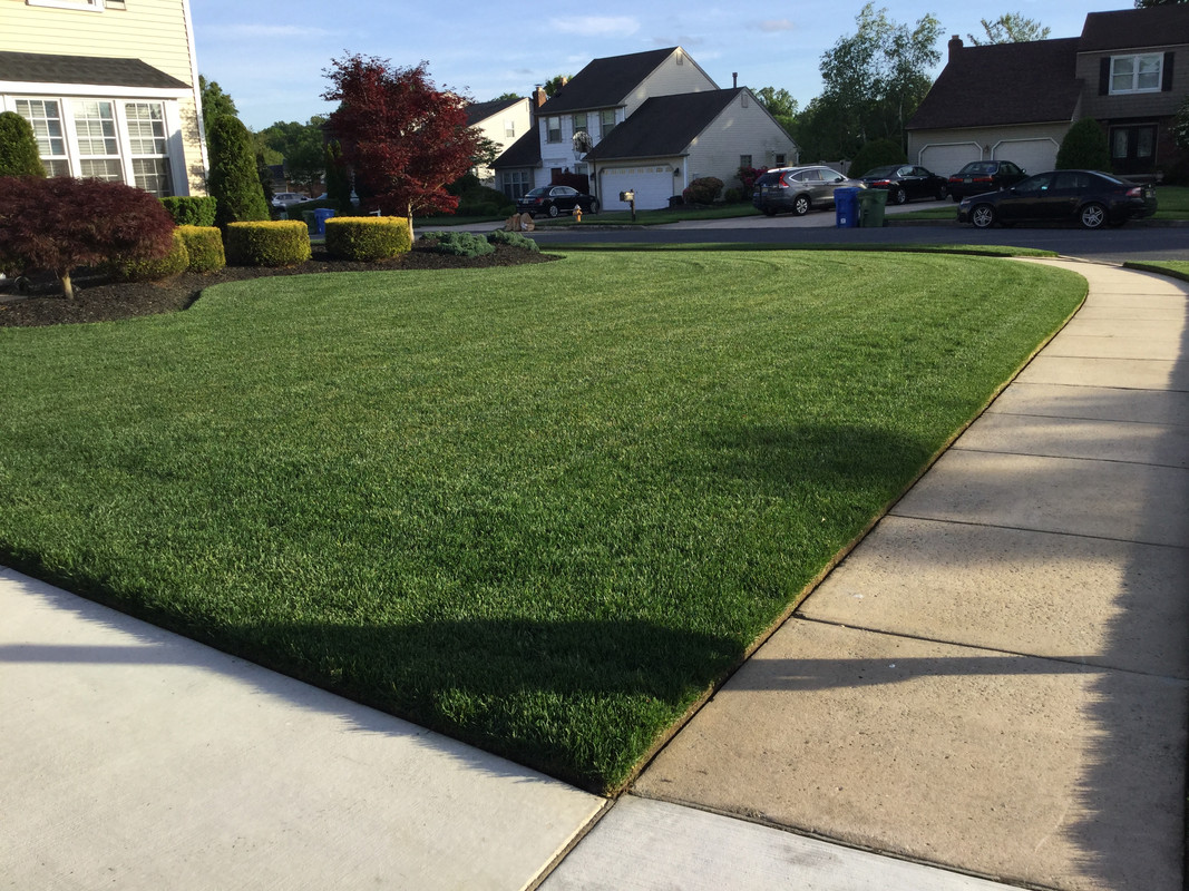 7538EEF9-F61E-49DA-8880-2AAE471051AA