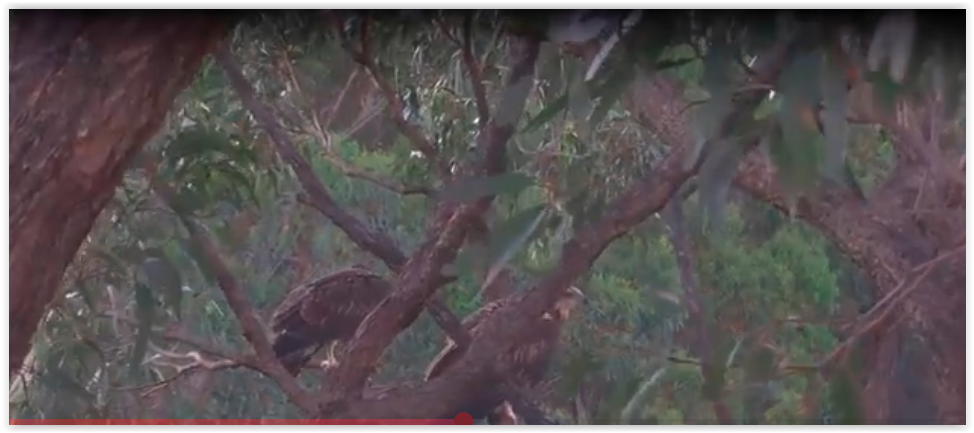 Screen Shot 11 09 25 at 03 32 AM