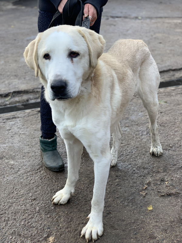 8DC5B5E9-B51E-47EE-A83F-393AA139AF56