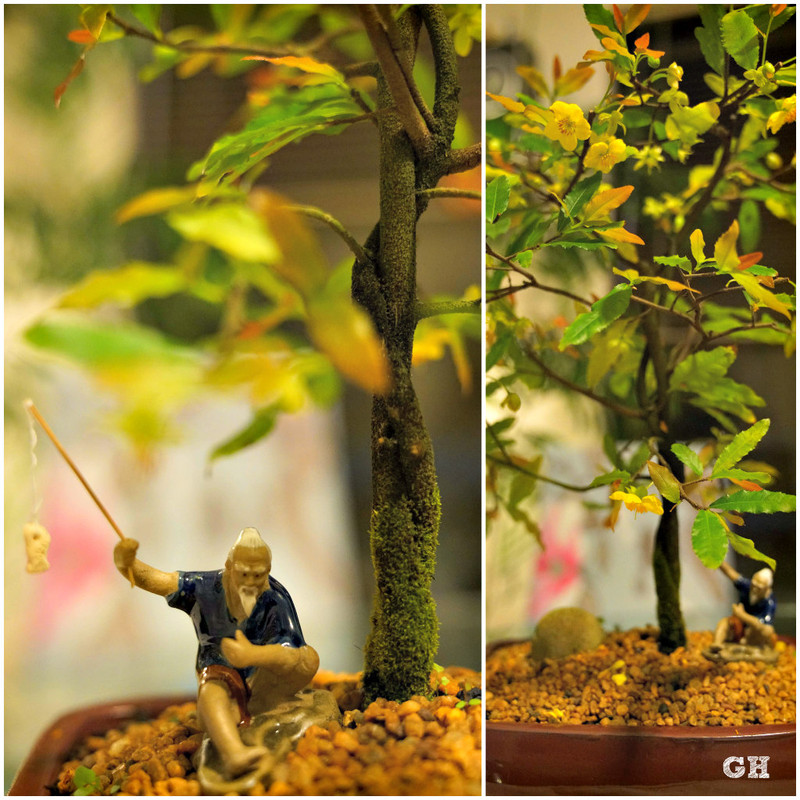 [Image: DSC07244collage-GH.jpg]