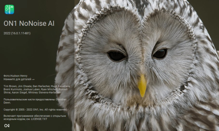 ON1 NoNoise AI 2022 16.0.1.11481 Multilingual