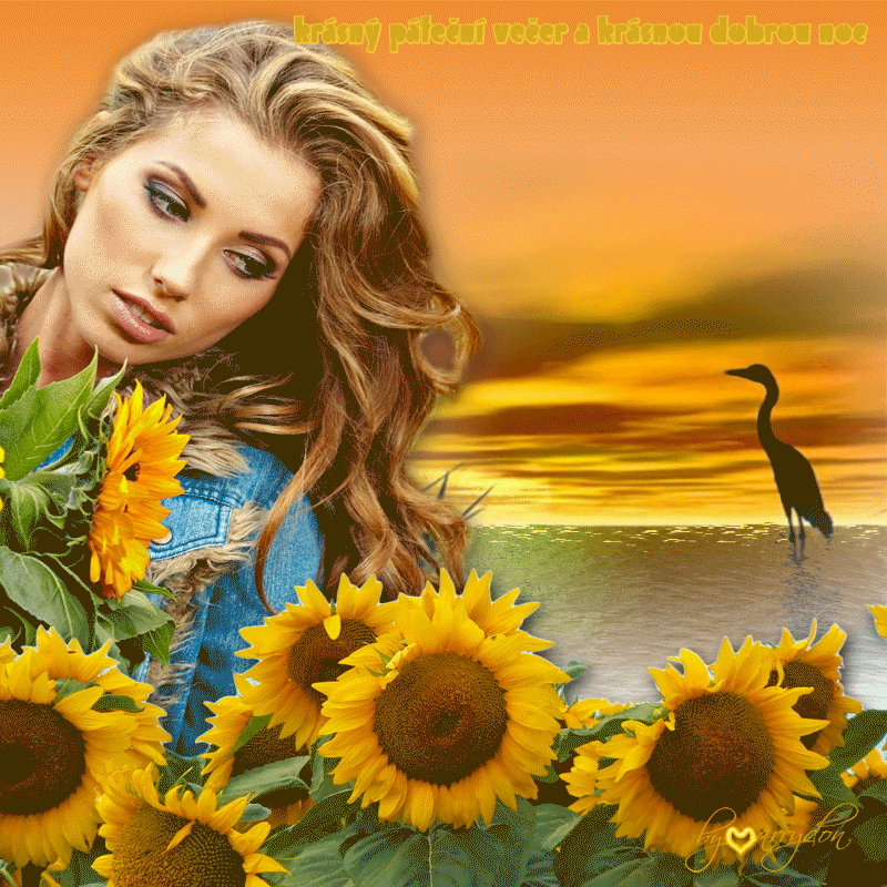 imageedit-11-9668450600