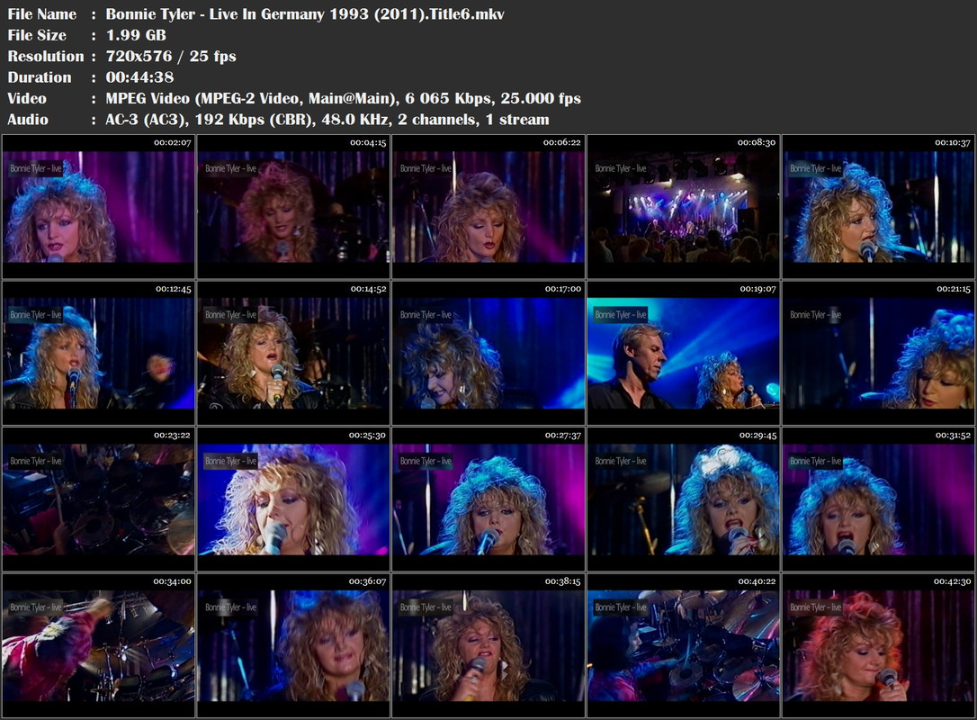 Bonnie Tyler - Live In Germany 1993 (2011)