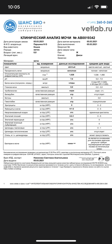 D1015087-39FC-4C4F-B5C5-928FFA640294