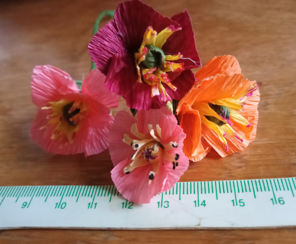 IMG_20240306_165802_0