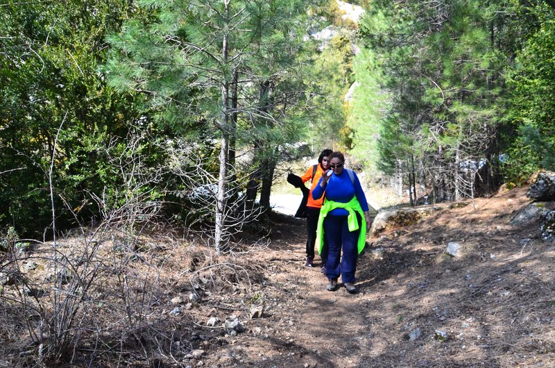 RUTA RIO BOROSA-12-3-2016-JAEN - Paseando por España-1991/2016 (141)