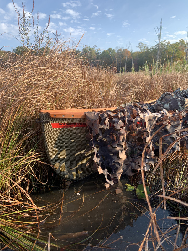 DD943B13-1F9C-4B26-A11A-73077503B5A3