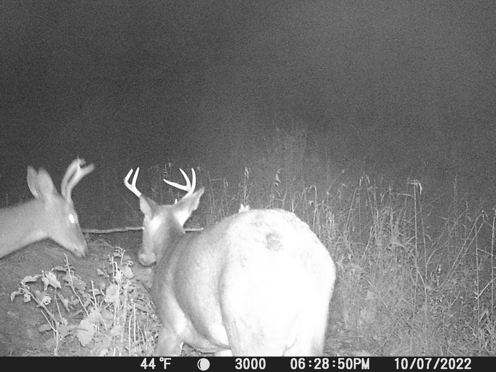 E86C959E-6E00-4341-AAD0-462A1C86071D