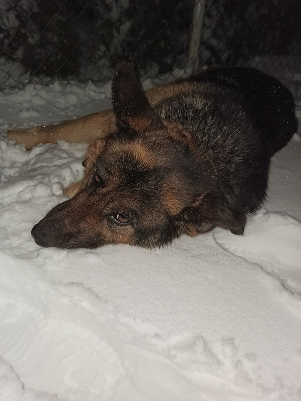 2181A9AD-5D02-4BFB-8FDB-040BC9331F3C