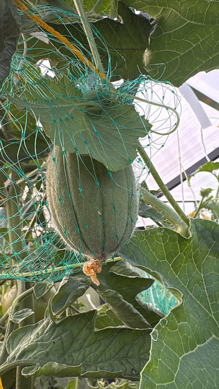 B96C6401-F601-4394-9BAF-8DF2A8FF0781