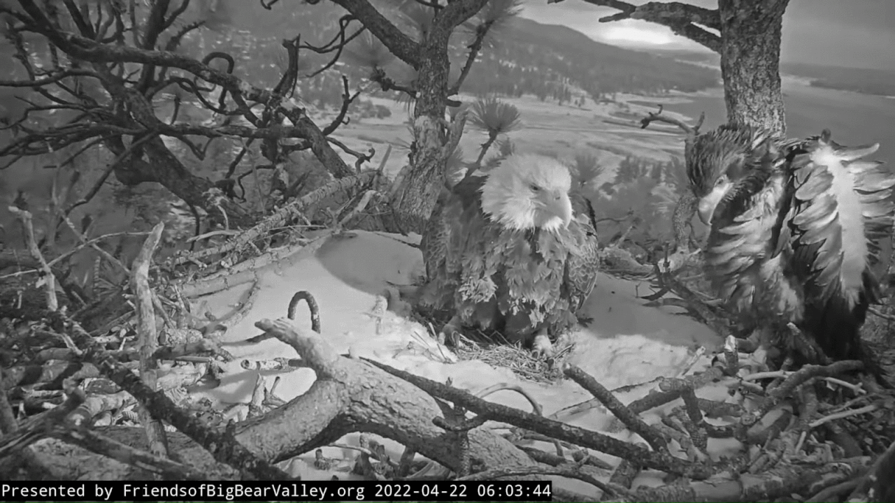 Webp.net-gifmaker (2)