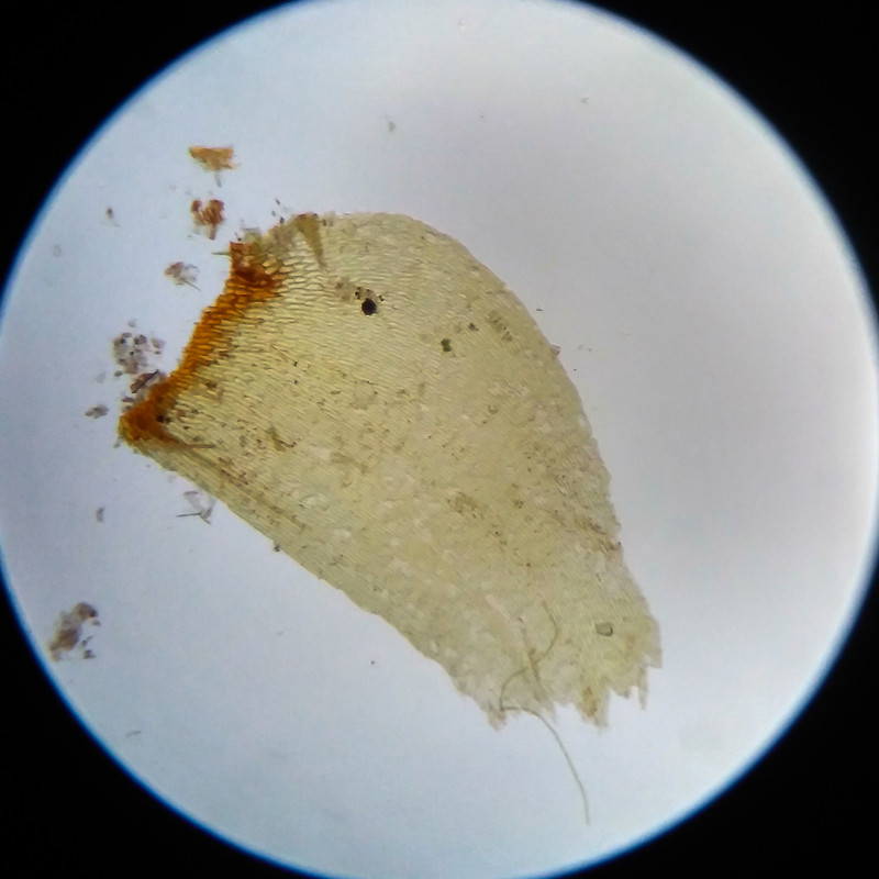 IMG 20250617 105608 HDR