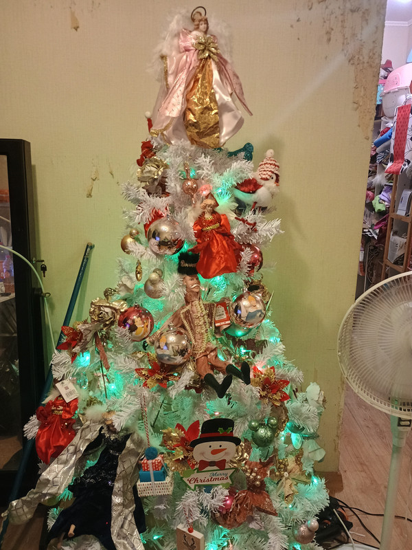 IMG_20241208_213133378_HDR