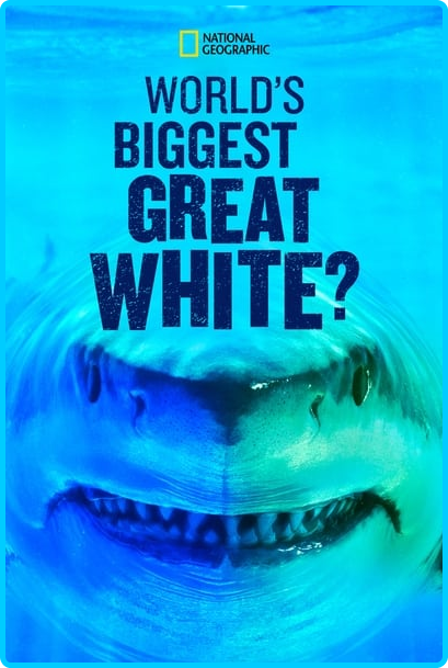 Worlds-Biggest-Great-White-2019-1080p-WEBRip-x265-RARBG.png