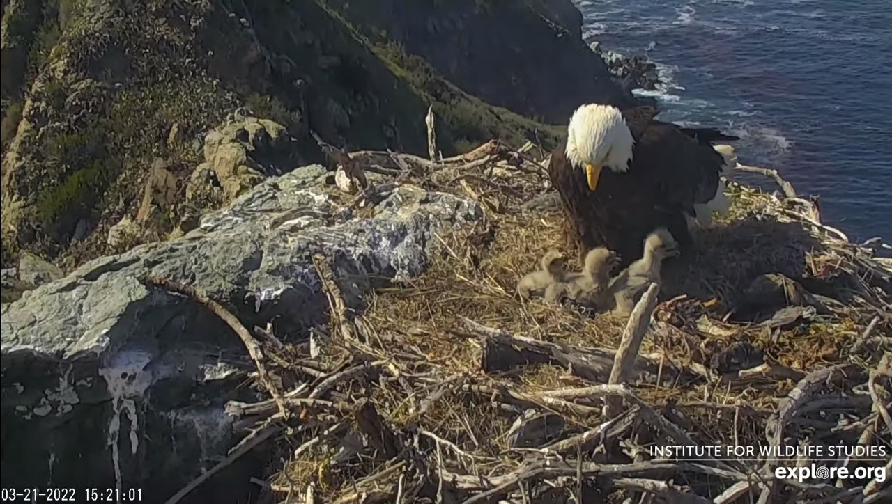 91640672-922E-47D6-982F-02F61672B5FE