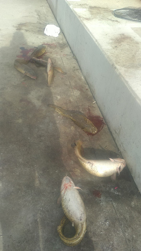 131639841_1840249866150966_4536034157187833544_n